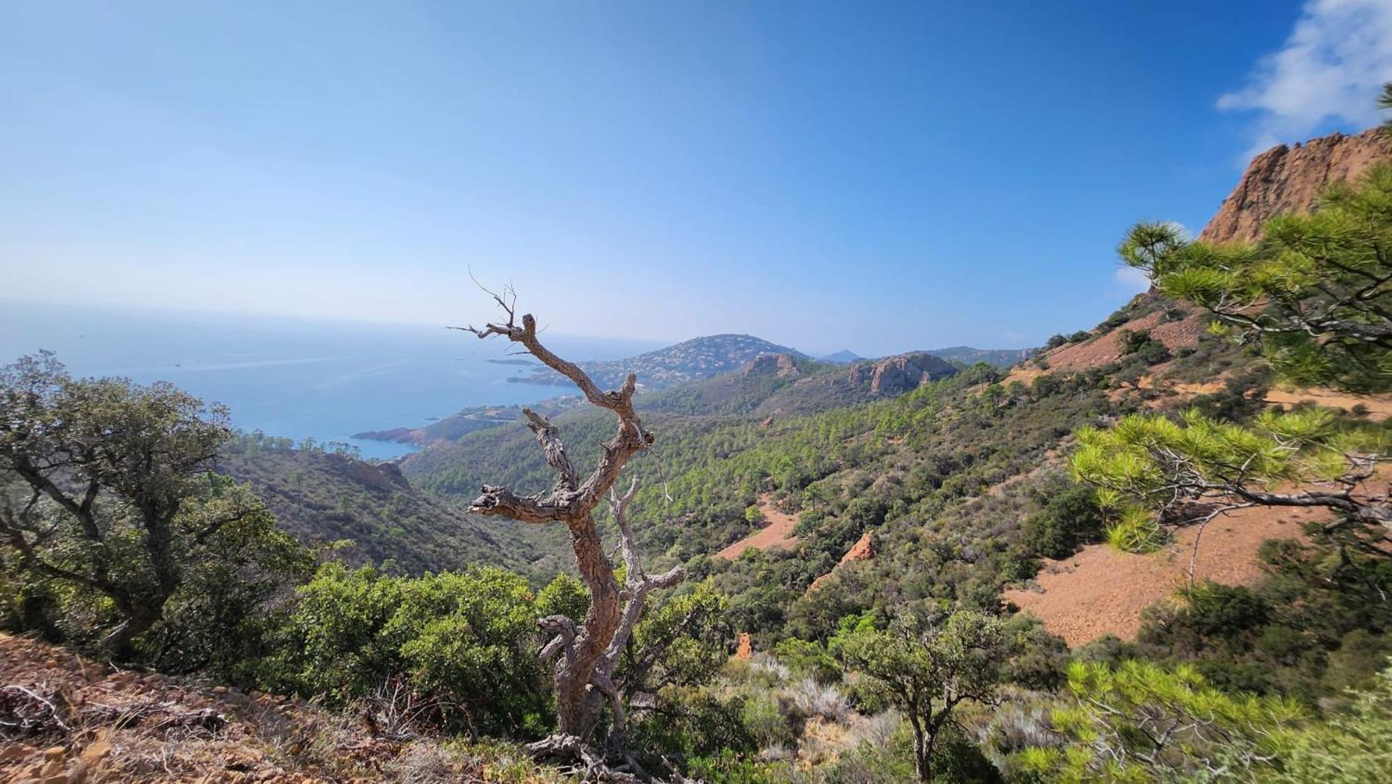 Saint-Raphael- Vue mer et Massif de l'Esterel Extérieur photo